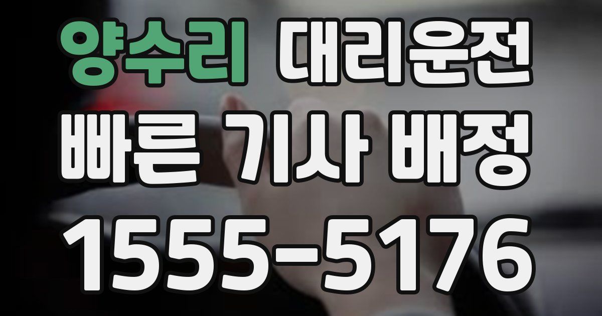 일일대리기사