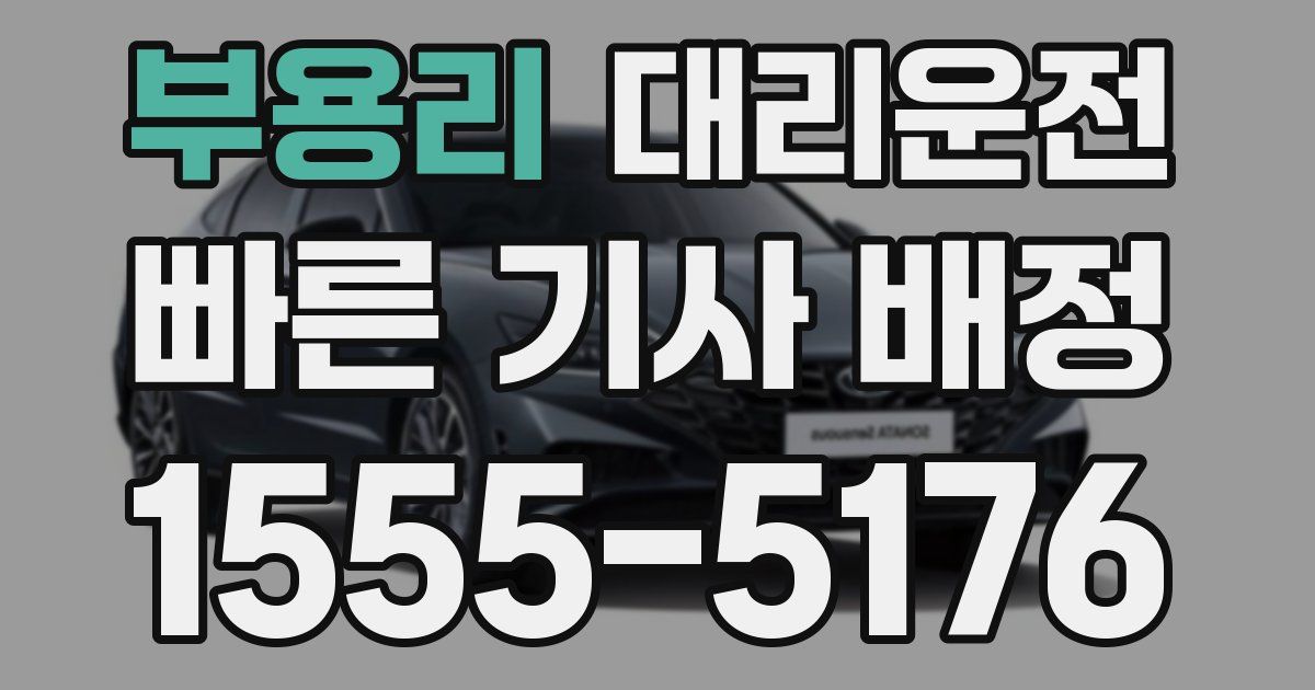 일일대리기사