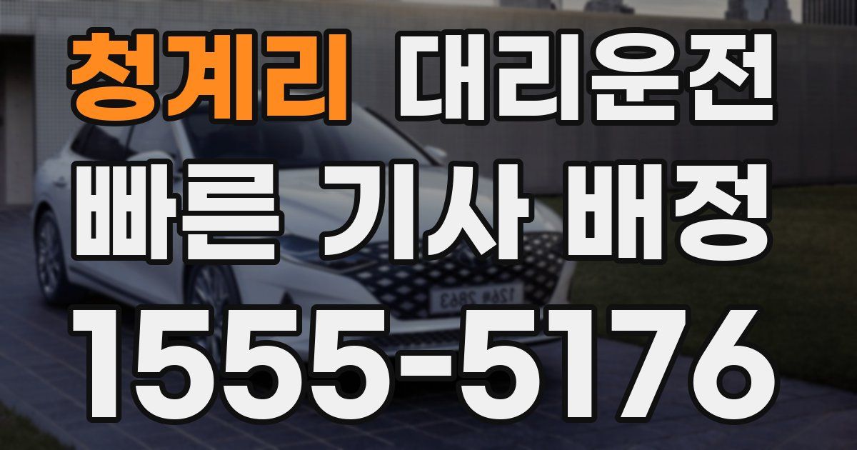 일일대리기사