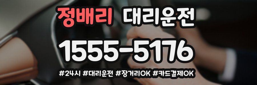 정배리 대리운전