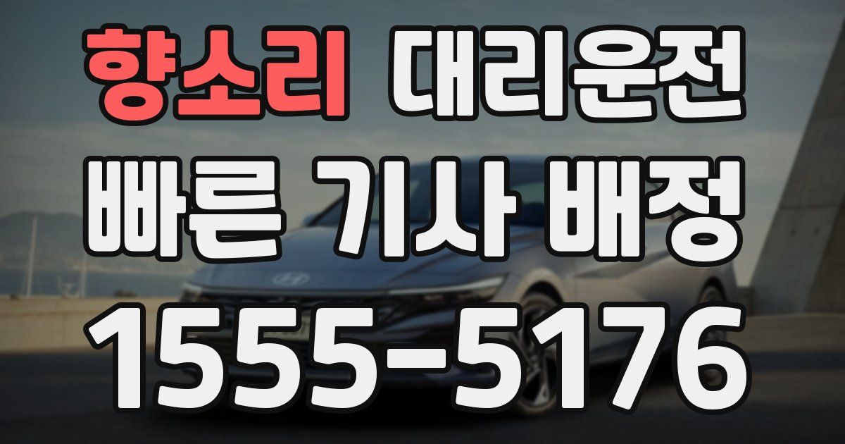 일일대리기사