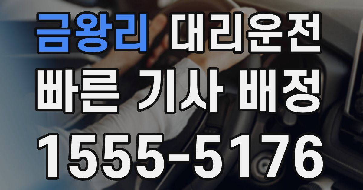 일일대리기사
