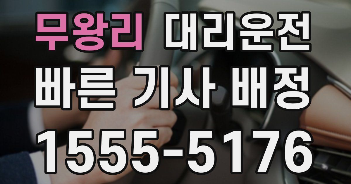 일일대리기사