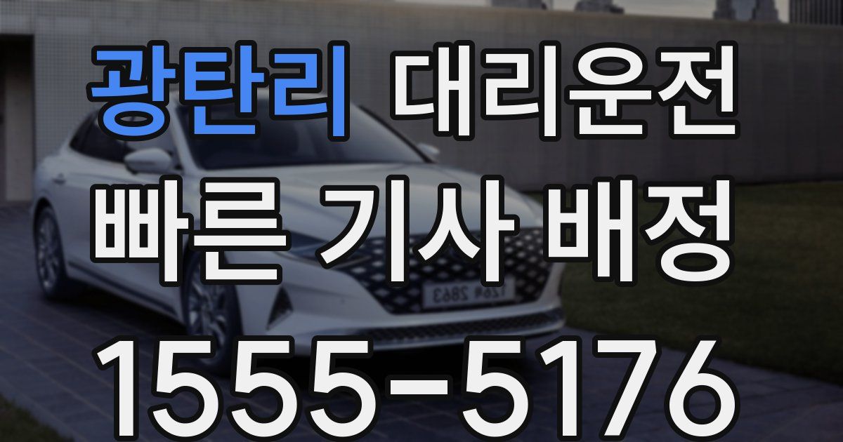 일일대리기사