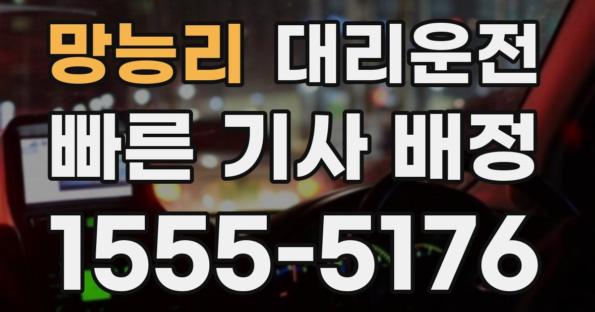 일일대리기사