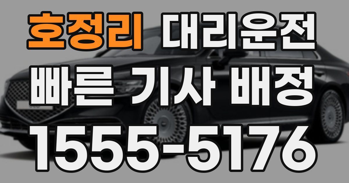 일일대리기사