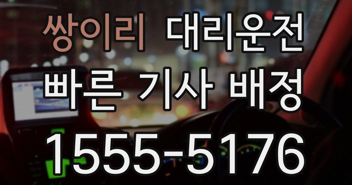 일일대리기사