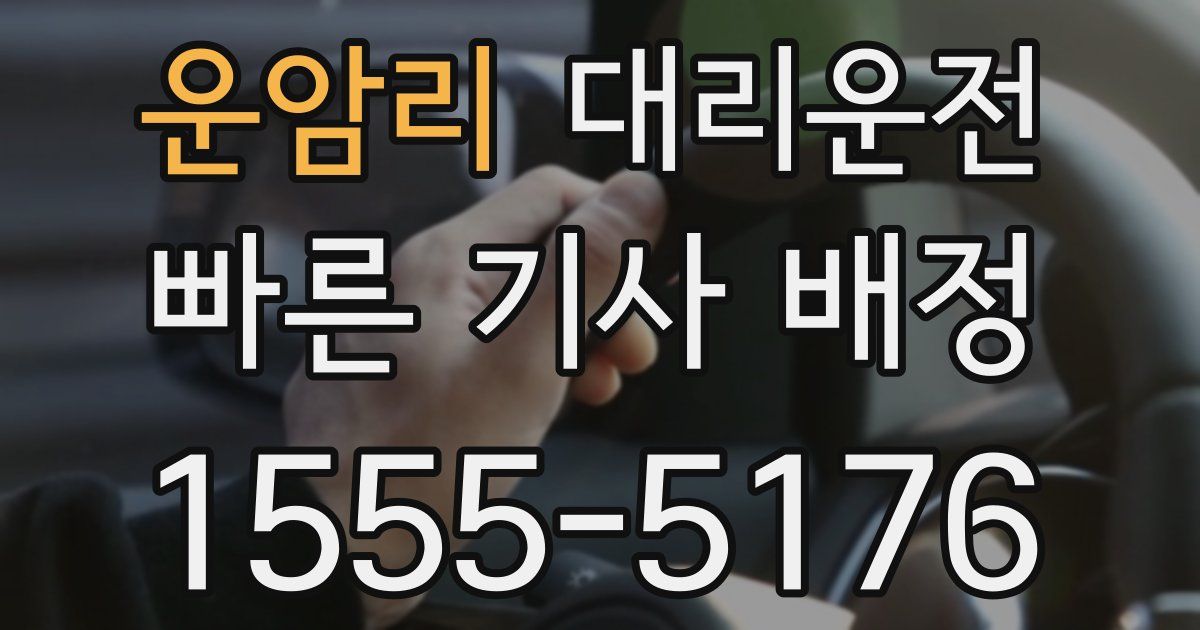 일일대리기사
