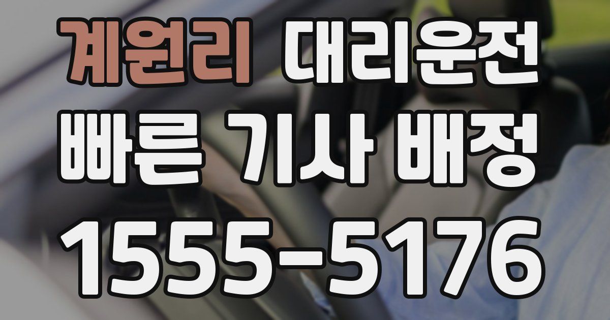 일일대리기사