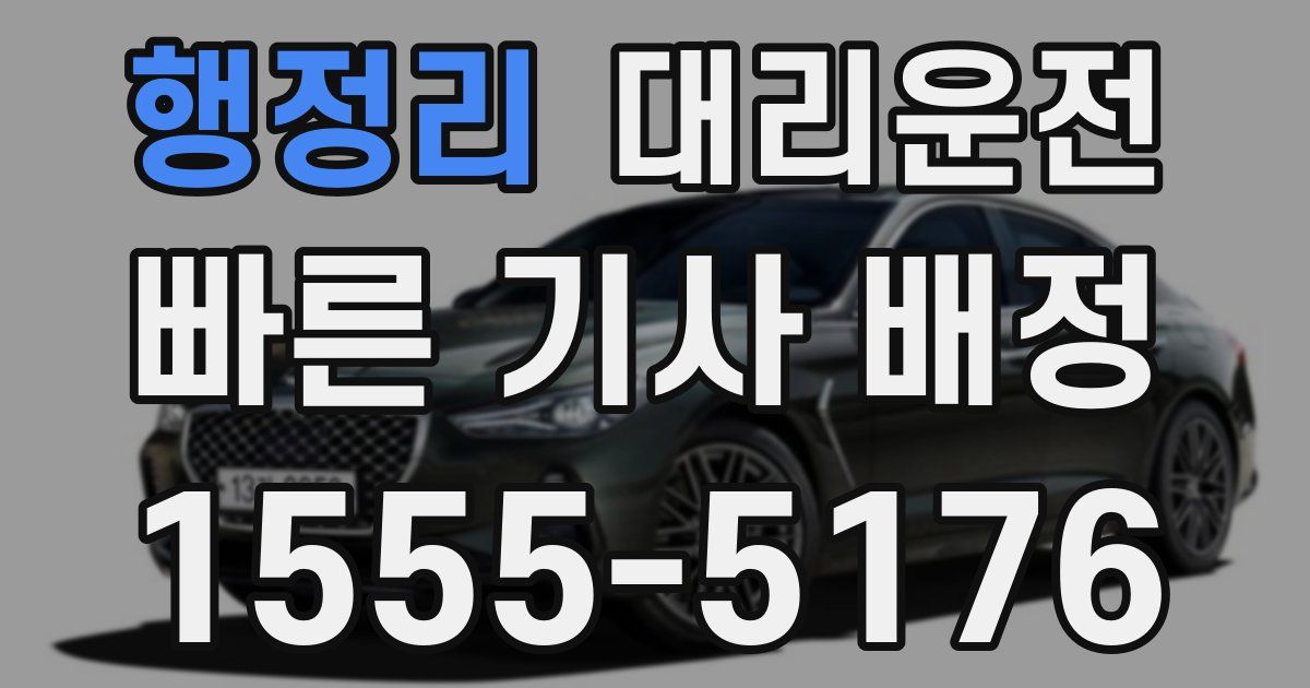 일일대리기사