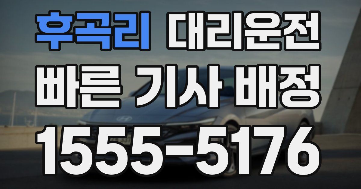 일일대리기사