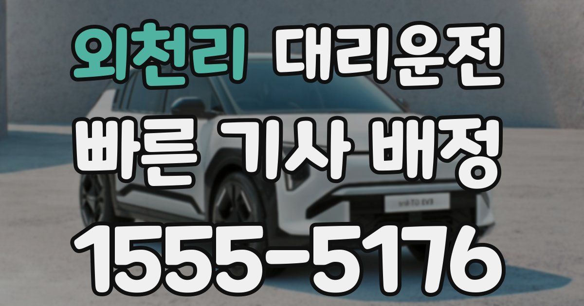 일일대리기사