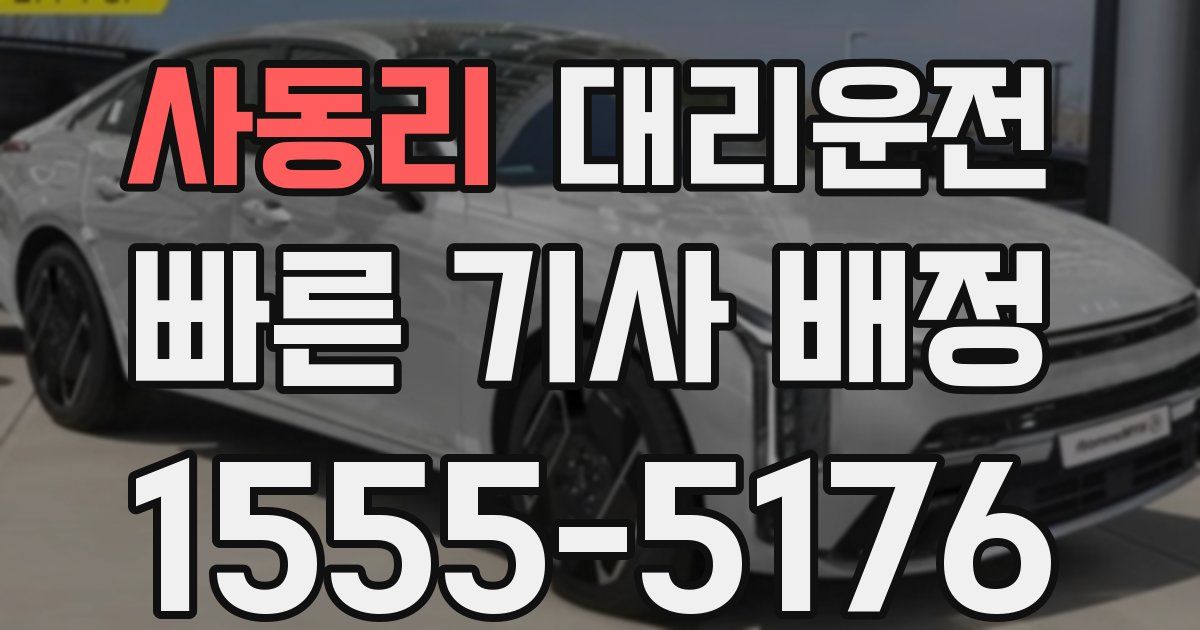 일일대리기사