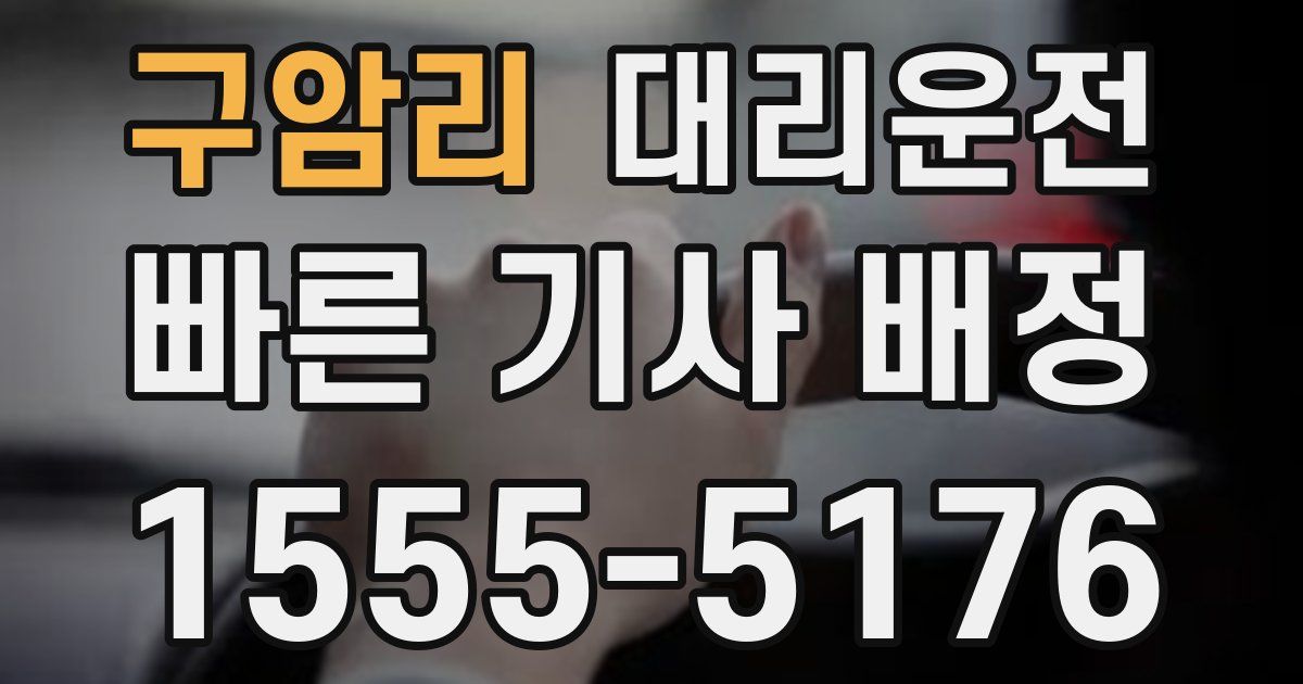 일일대리기사