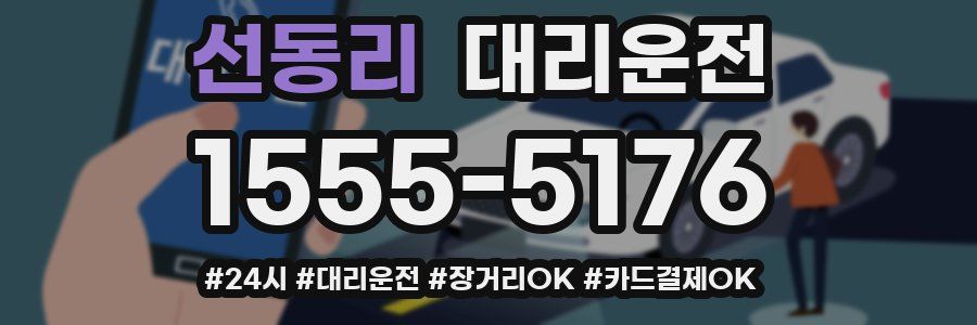 선동리 대리운전