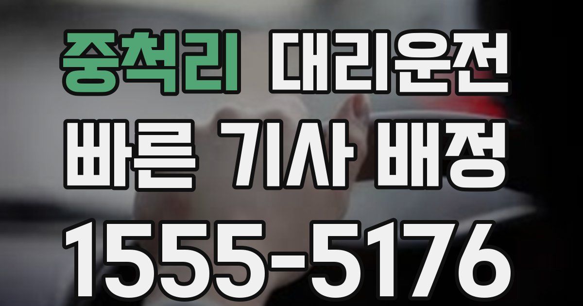 일일대리기사