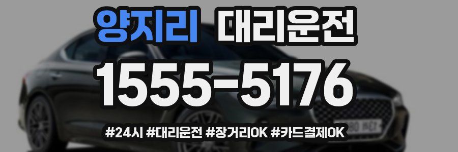양지리 대리운전