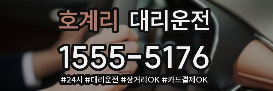 호계리 대리운전