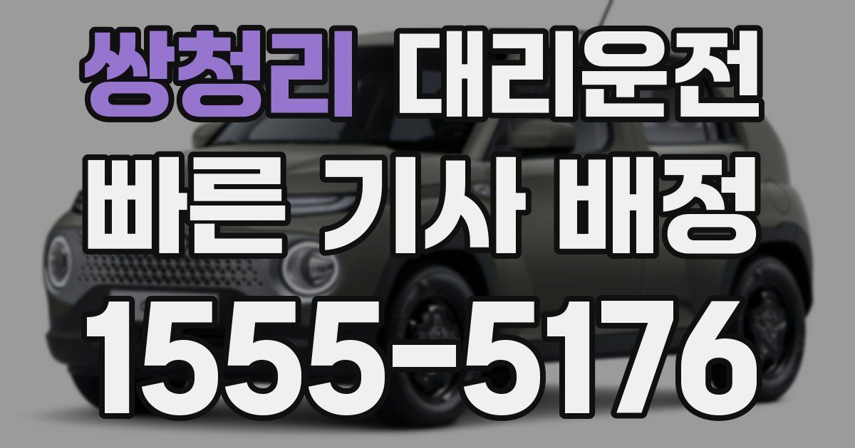 일일대리기사