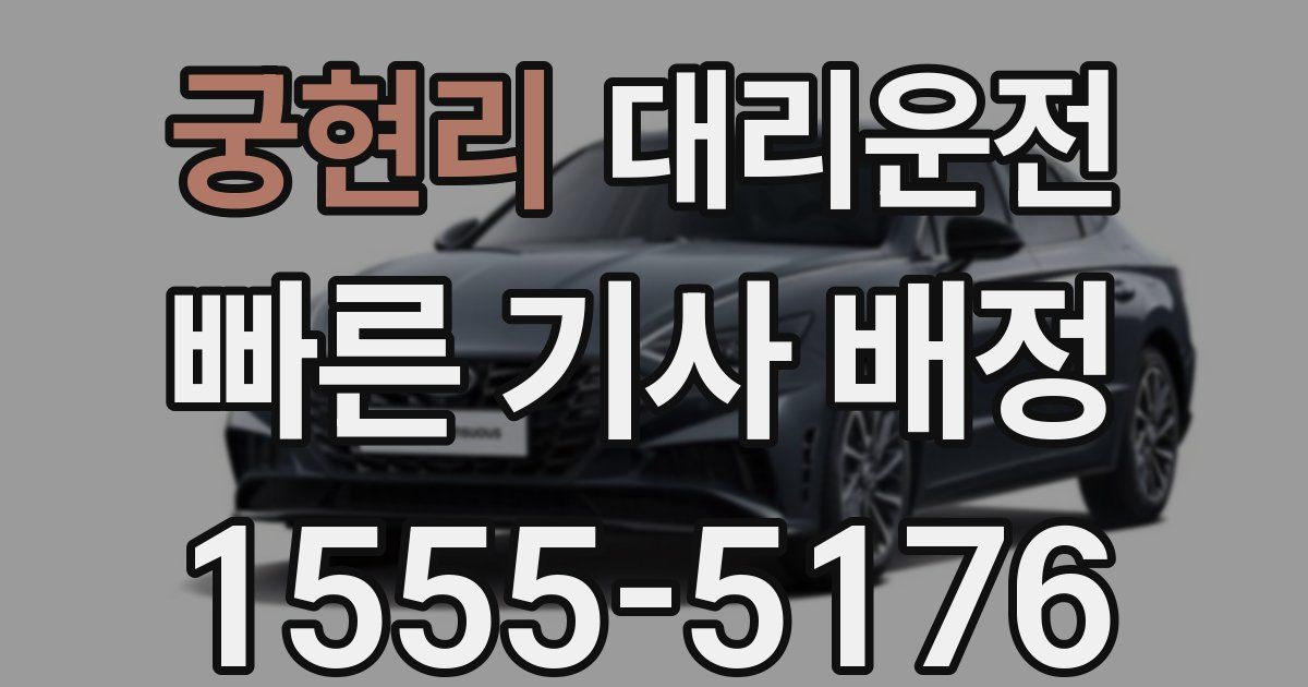 일일대리기사
