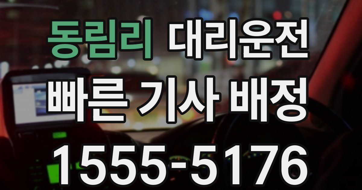 일일대리기사