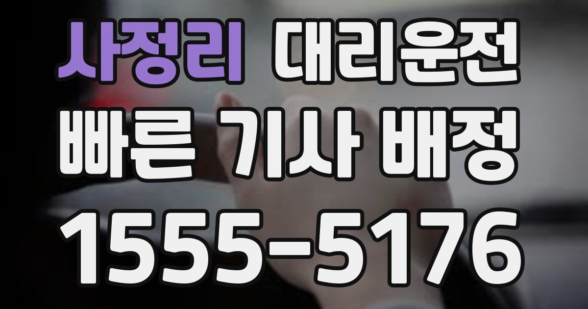 일일대리기사