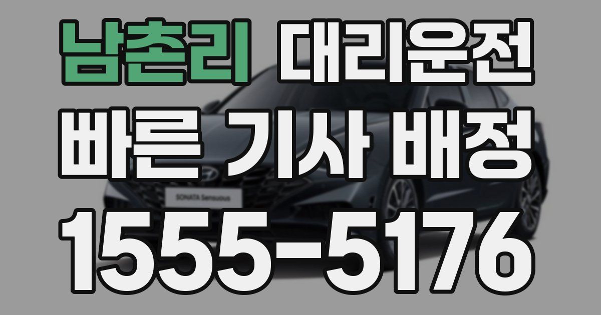 일일대리기사