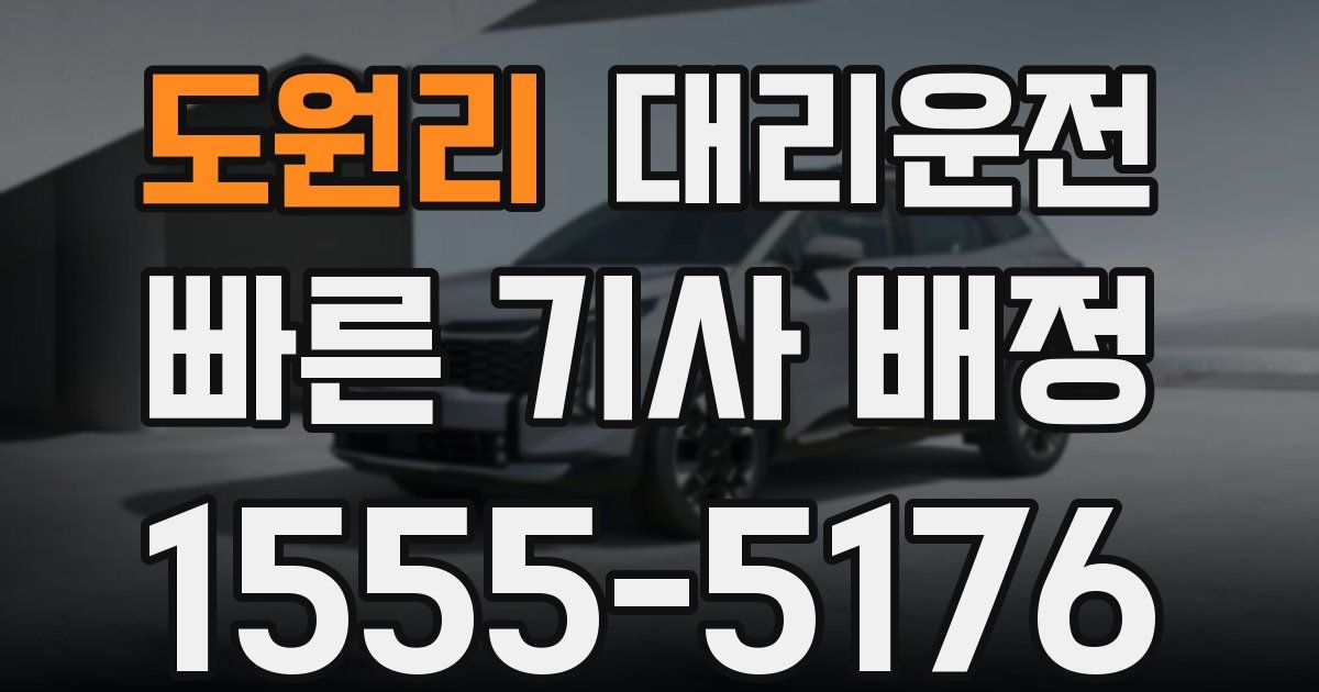 일일대리기사