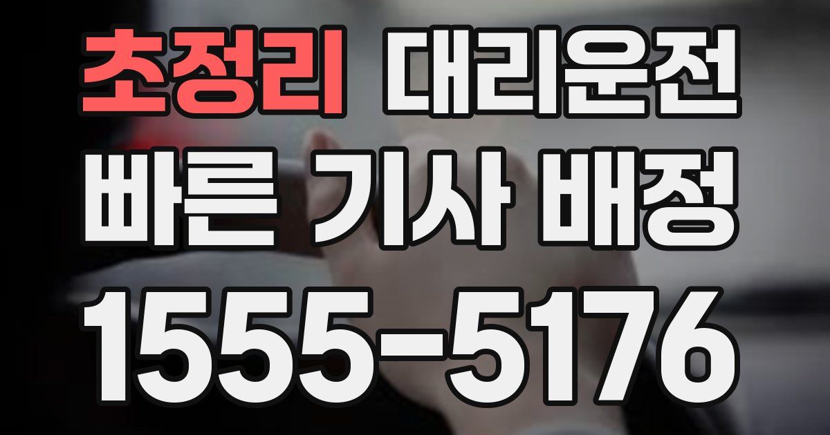 일일대리기사