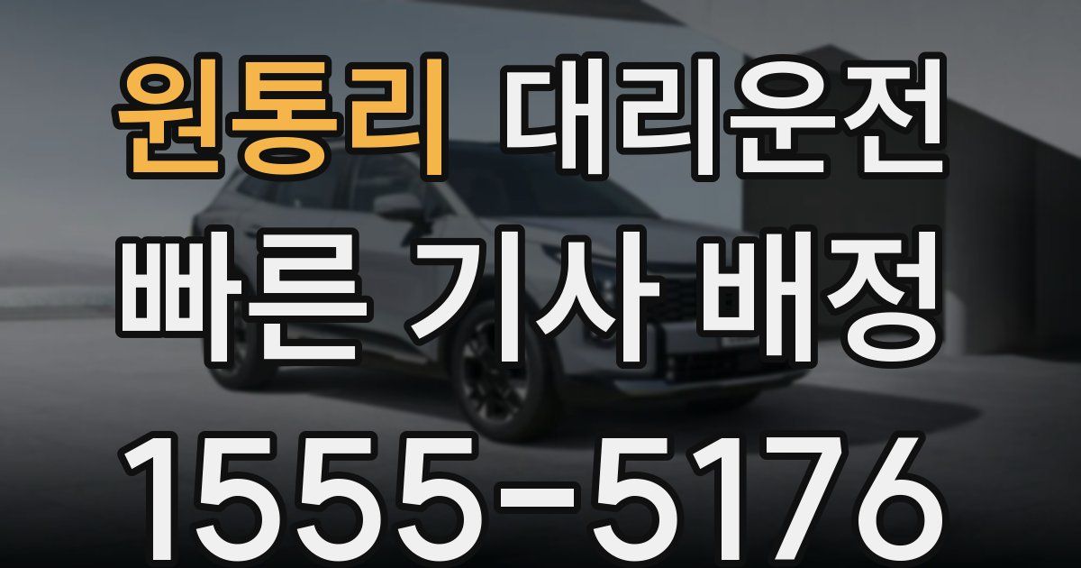 일일대리기사