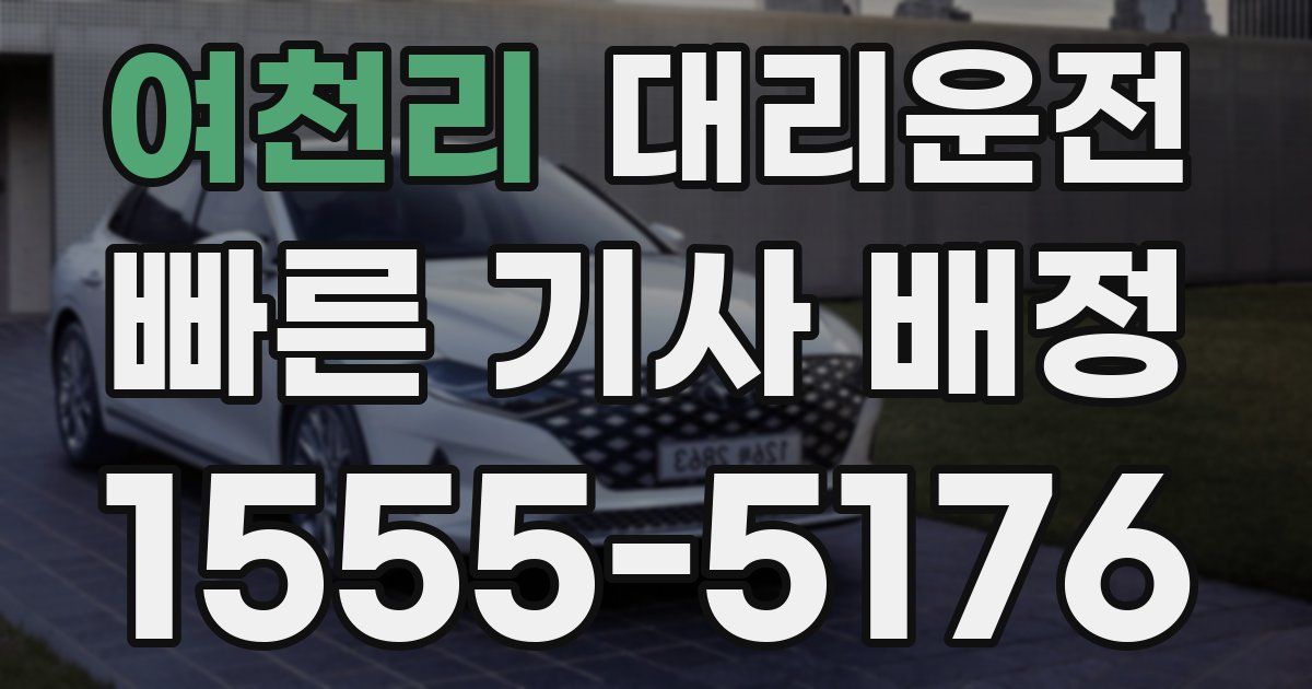 일일대리기사