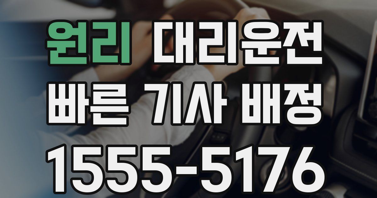 일일대리기사