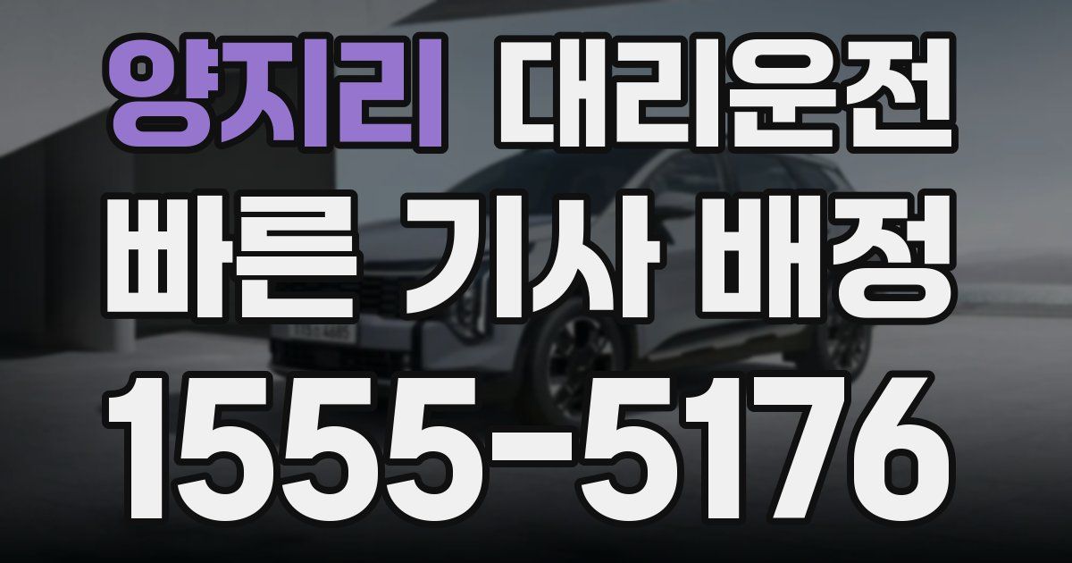 일일대리기사
