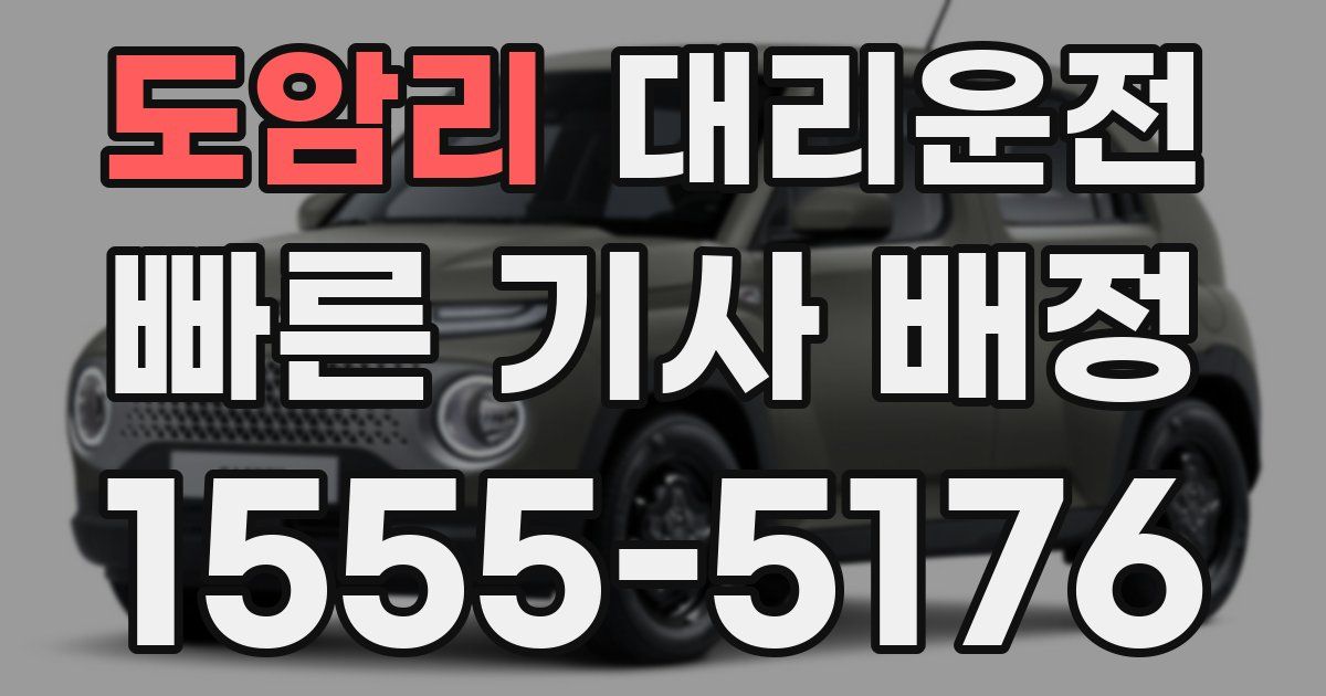일일대리기사