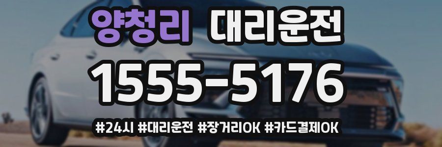 양청리 대리운전