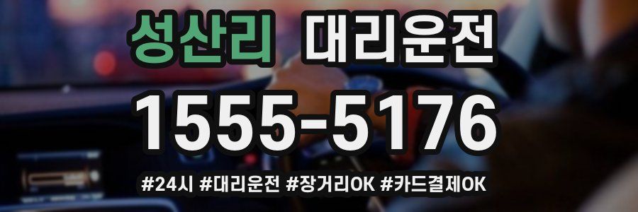 성산리 대리운전