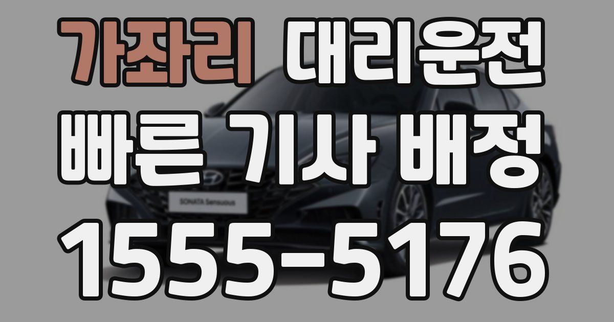 일일대리기사