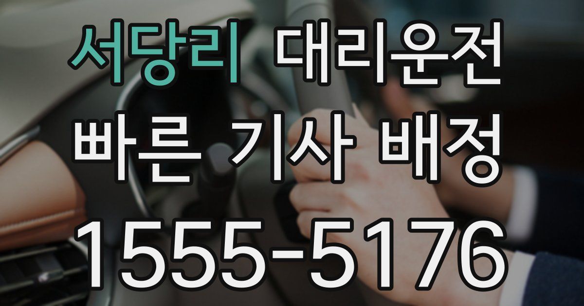 일일대리기사