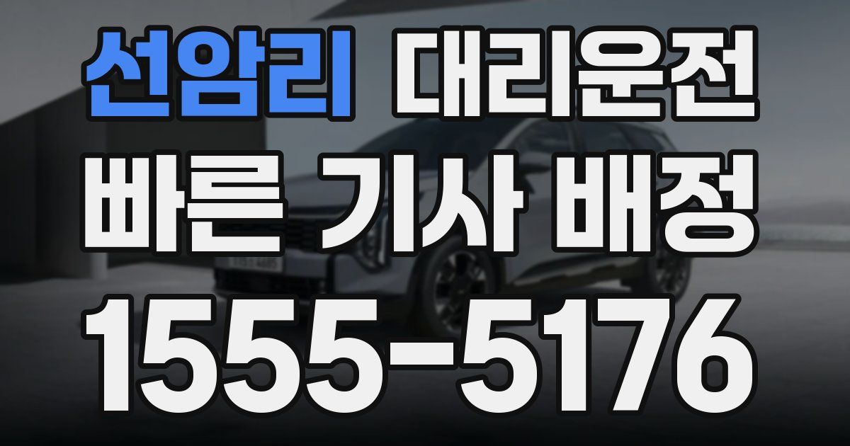 일일대리기사