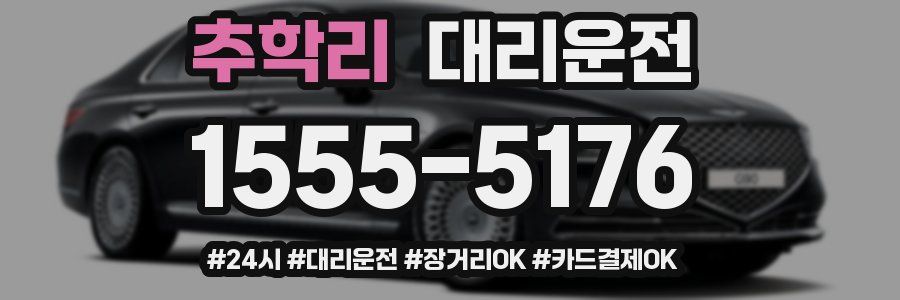 추학리 대리운전