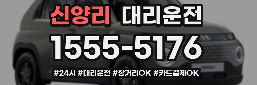 신양리 대리운전