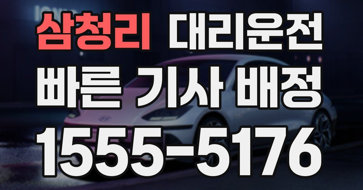 일일대리기사