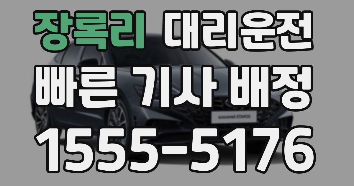 일일대리기사