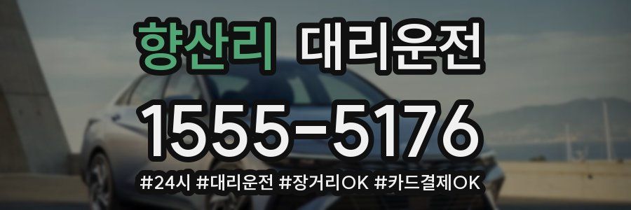 향산리 대리운전
