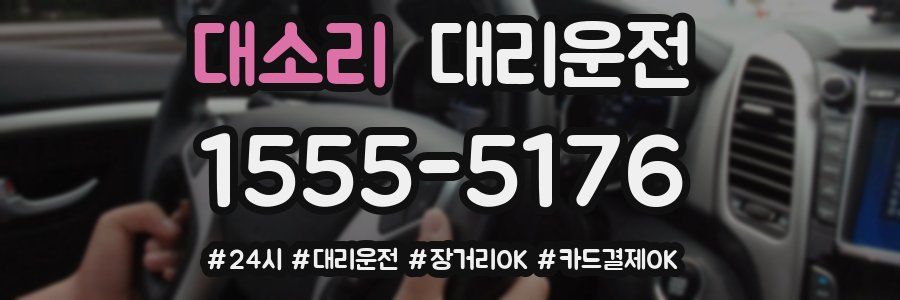 대소리 대리운전