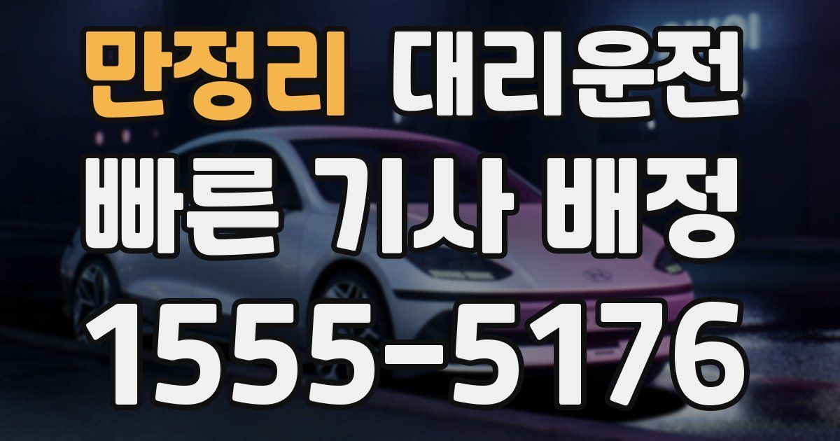 일일대리기사