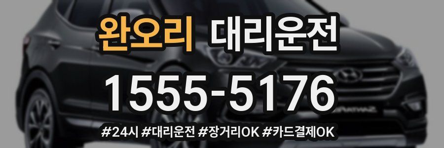 완오리 대리운전