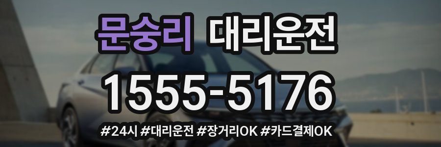 문숭리 대리운전