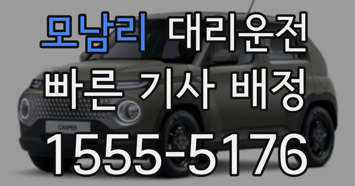 일일대리기사