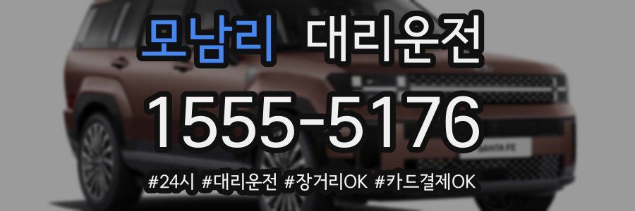 모남리 대리운전